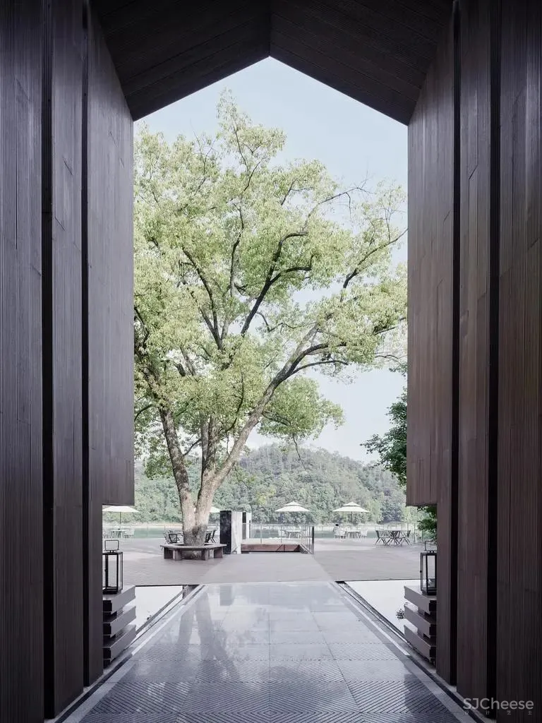 杭州千岛湖雅谷风林度假酒店