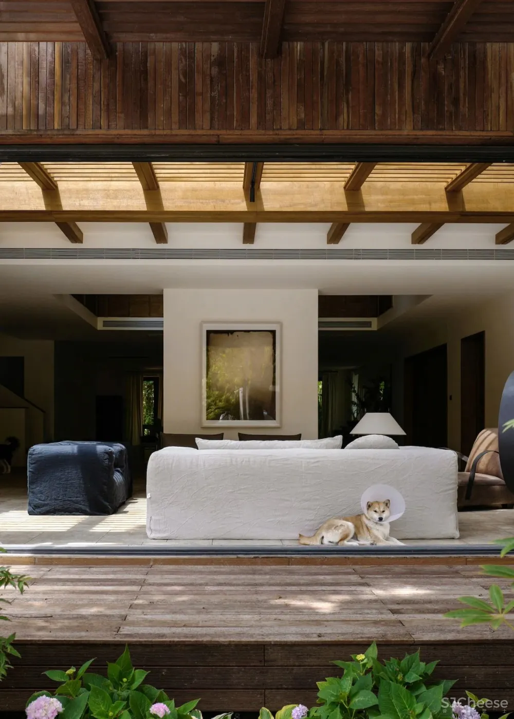 欢聚或独处,都被温柔包裹着| 军哥和芳姐自宅