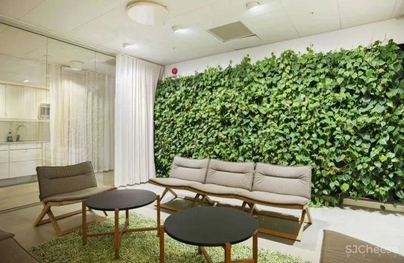 冷硬做底,温暖辅助,木条绿植一相逢,便胜却人间无数