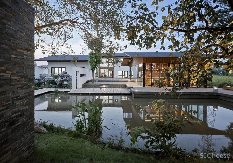 马岛八大作品盘点“我们自己的文化才是面向未来的”