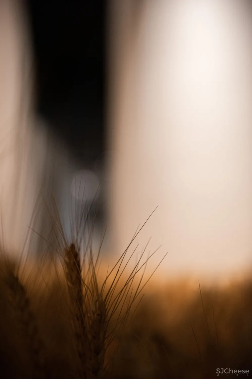 希望的田野 · 寰盟东南亚设计中心办公空间丨长空创作