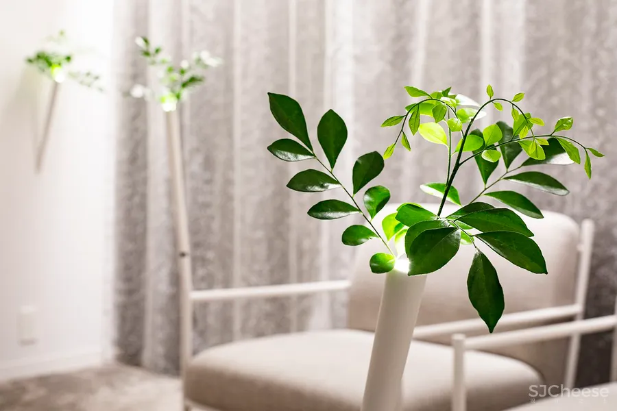 藤本壮介新作建成!300年日本老旅店重建,竟然变成一座山