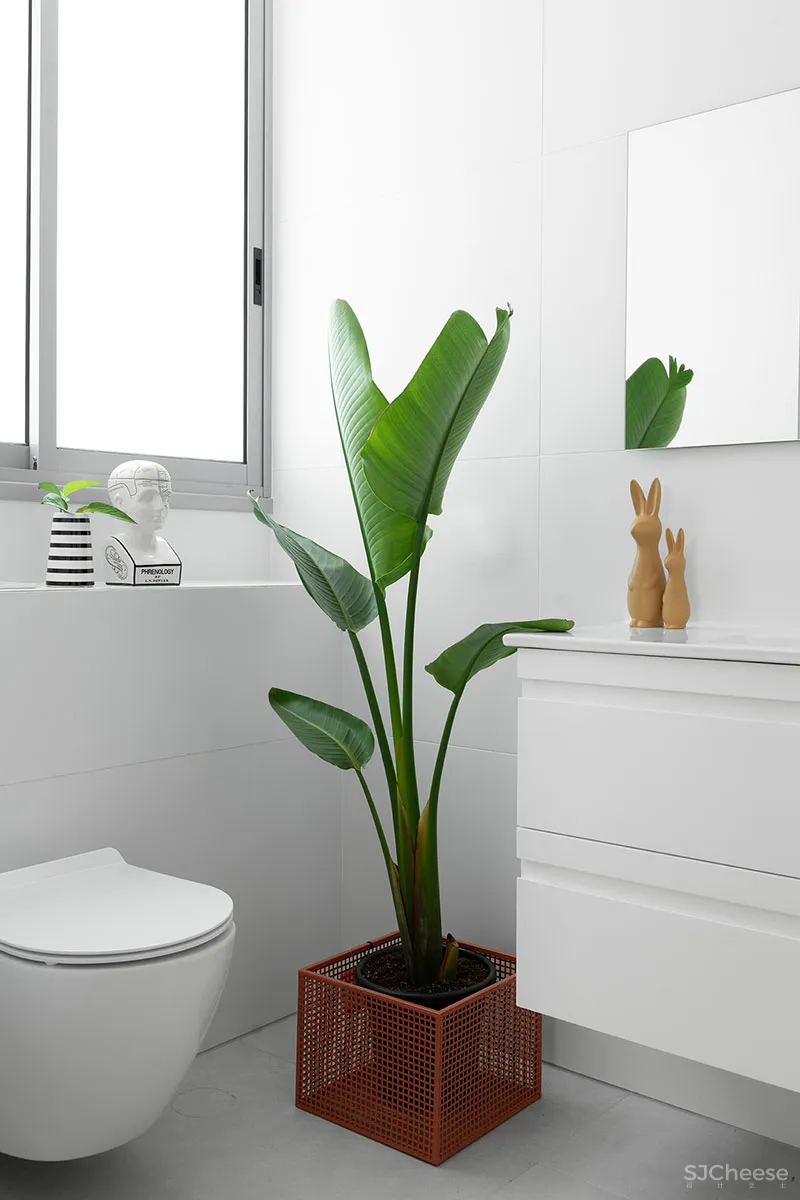 总嫌家里光线不够？看看这套130㎡公寓是如何做的！