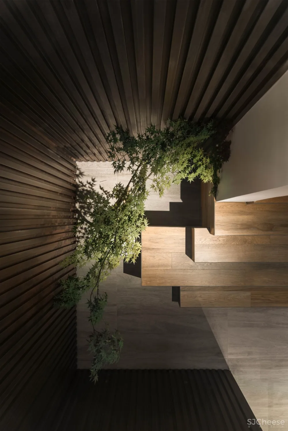 重启2020,从治愈系的家开始