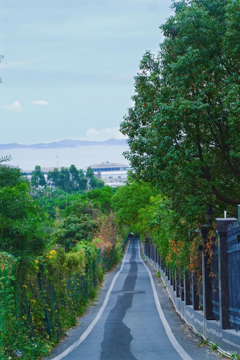高铁直达秋冬温暖迷人的海,海上花园私藏国内版“圣托里尼”,《女儿们的恋爱》取景地大公开!
