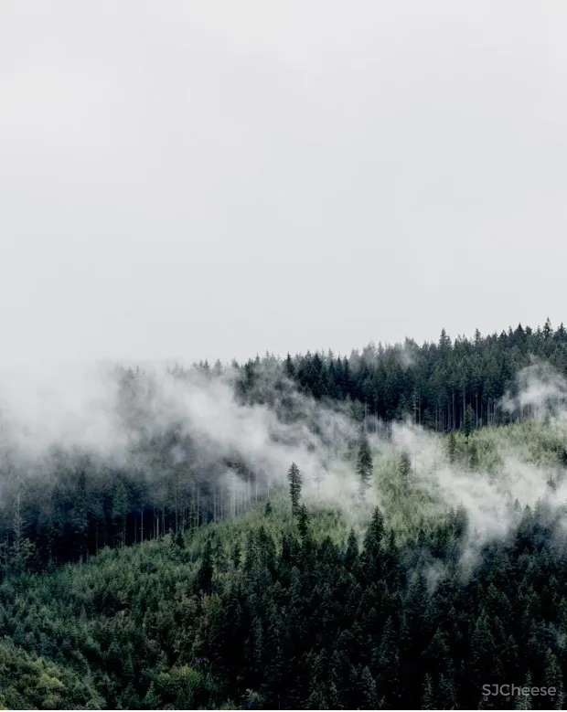 YuQiang - Partners丨香蜜湖后花园半山住宅
