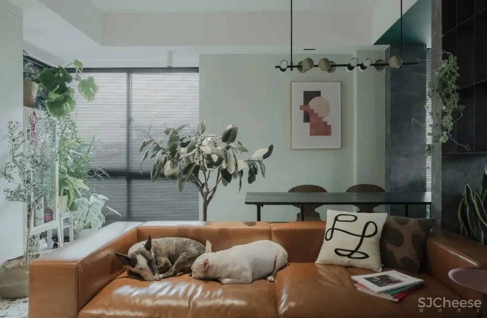 80后丁克夫妻的100㎡两室，颜值美炸！花砖、绿植，住-租一体，还有两狗子……