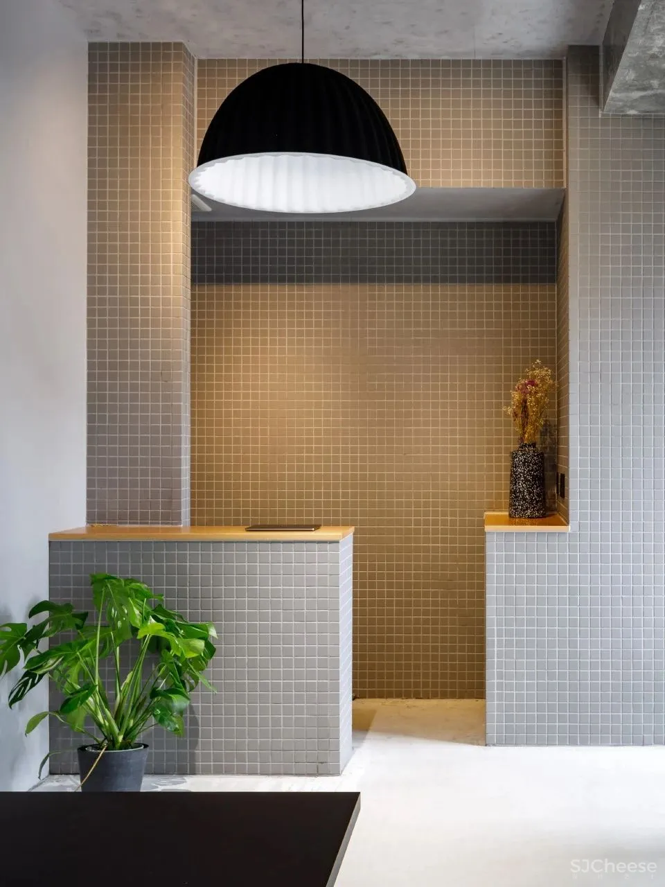 从酒店到公寓的职能转换 东京 灯塔公寓 YSLA architects