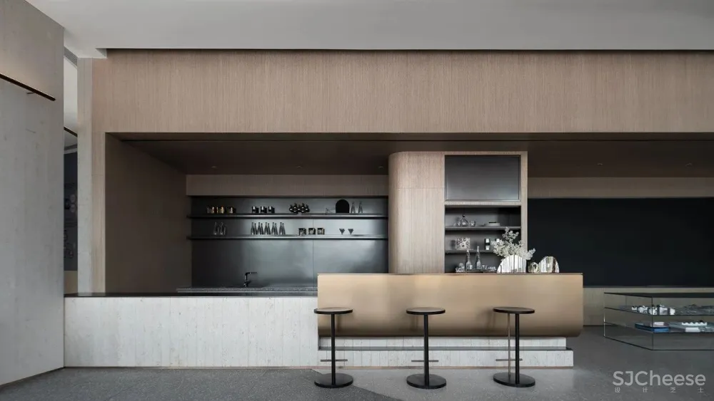 共生形态 星辰与蜉蝣