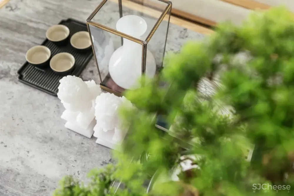 洲际作品丨年轻主义的方程式