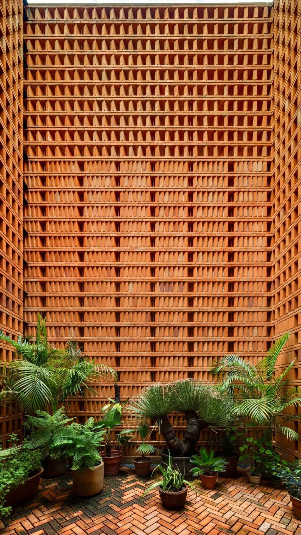 墨西哥城ITURBIDE工作室