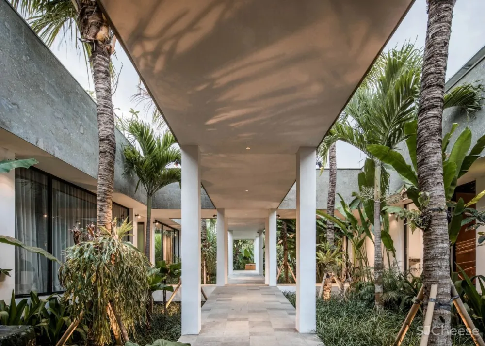 Alexis Dornier 隐匿于绿植之中 Flora住宅