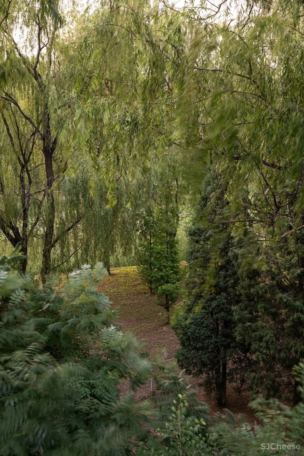 欢聚或独处,都被温柔包裹着| 军哥和芳姐自宅
