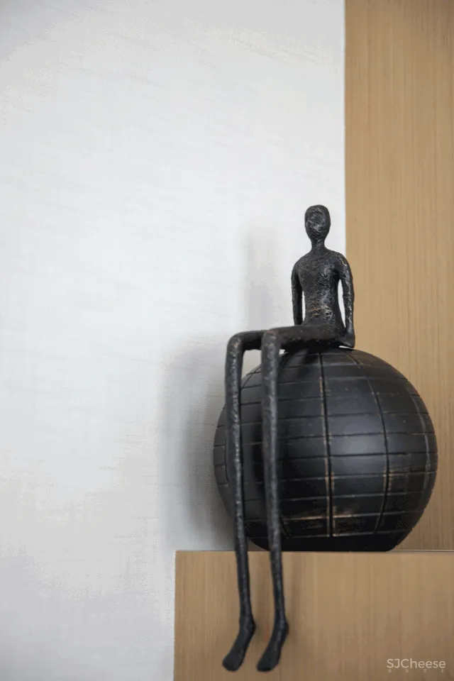 一个高品质的多功能美学空间