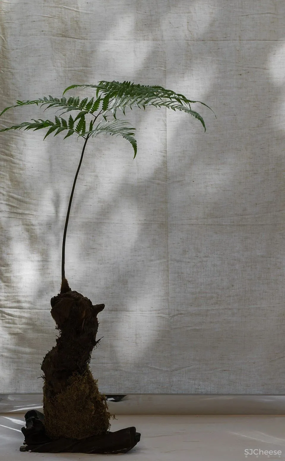 “土”生“土”长——大海小燕设计工作室新办公室