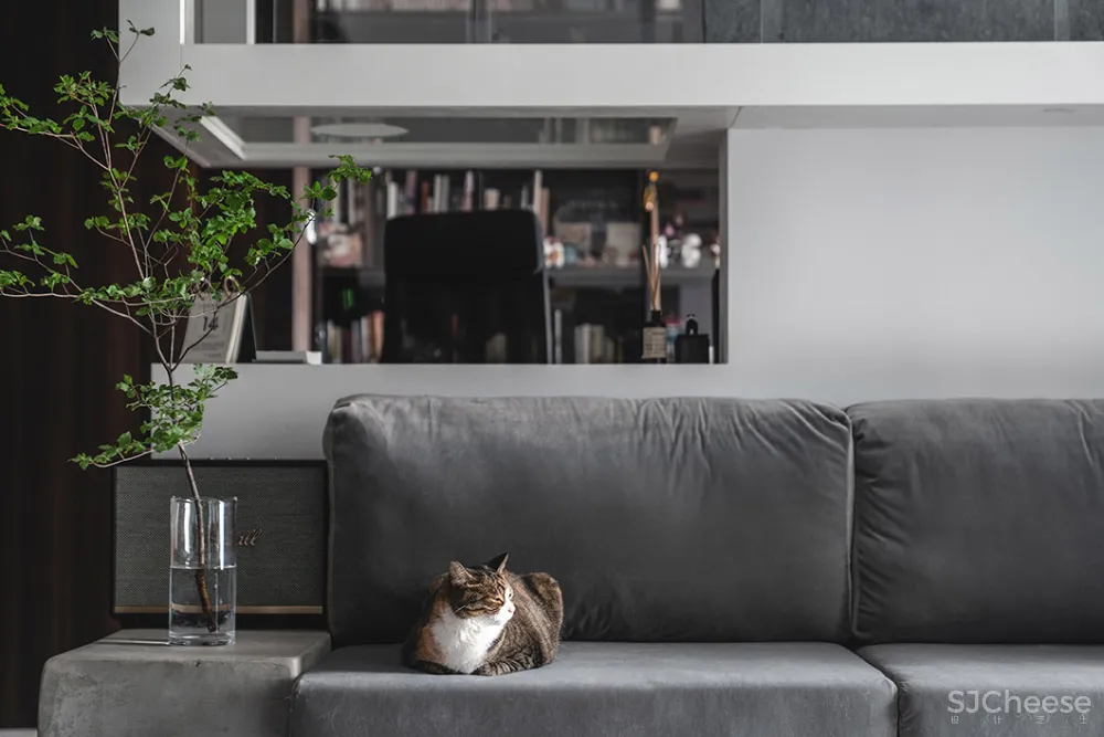 132㎡简洁设计，9猫、2狗、2人，这样的家太爱了！