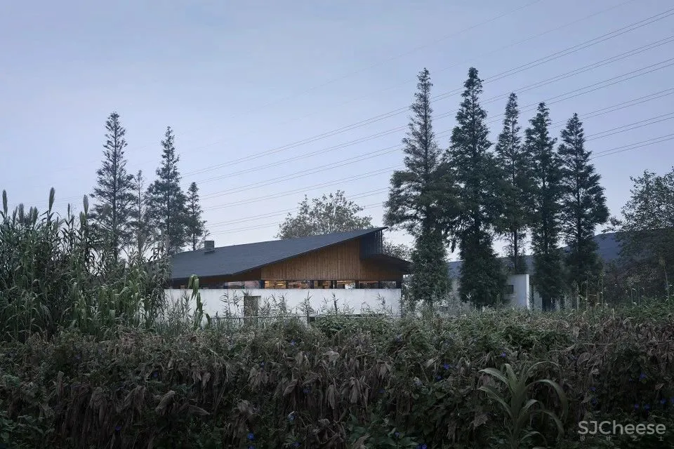 马岛八大作品盘点“我们自己的文化才是面向未来的”