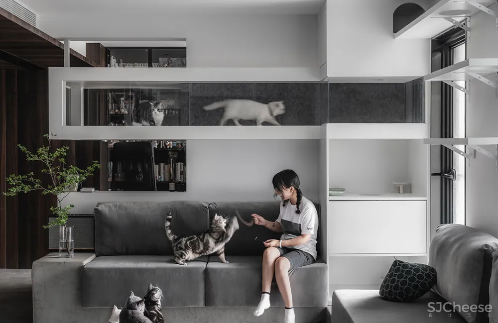 132㎡简洁设计，9猫、2狗、2人，这样的家太爱了！