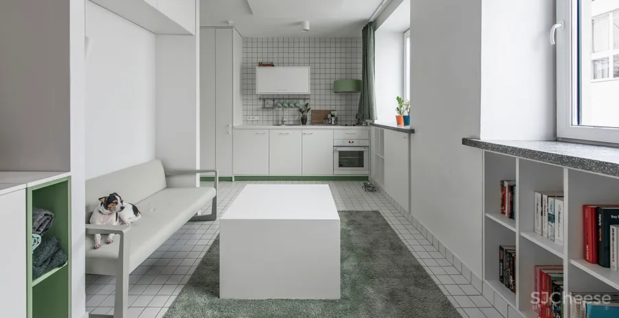 双十一也是光棍节!5套超小单身公寓设计案例,分享给剁完手的你