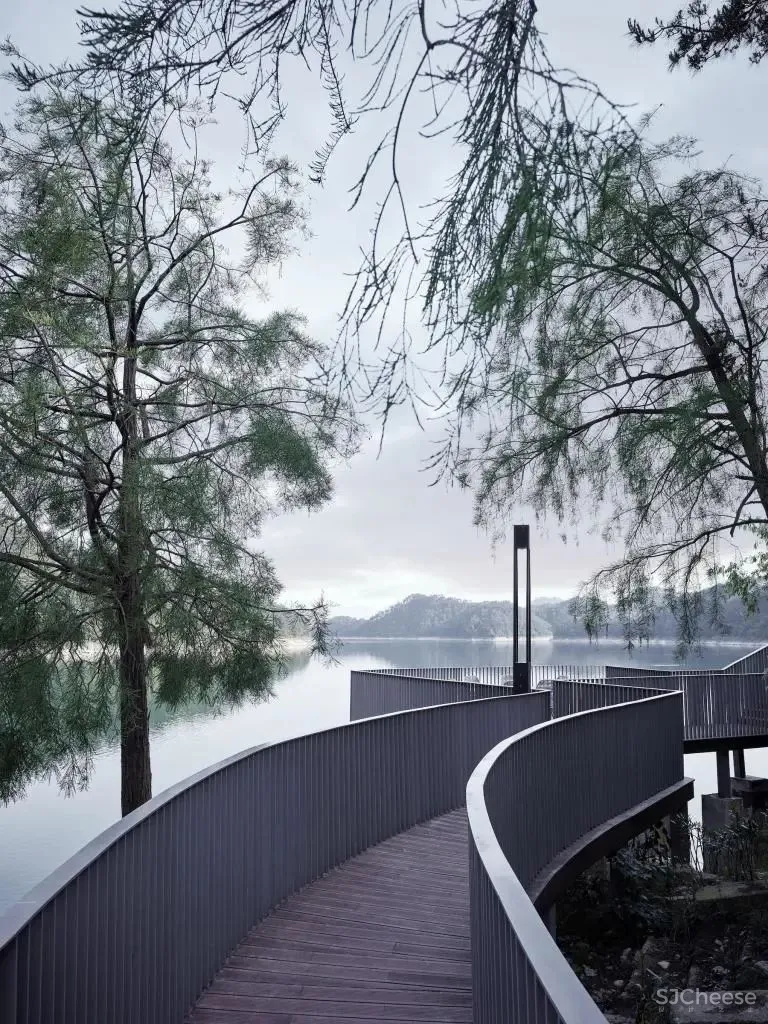 49㎡三口之家,这样设计超级显大!