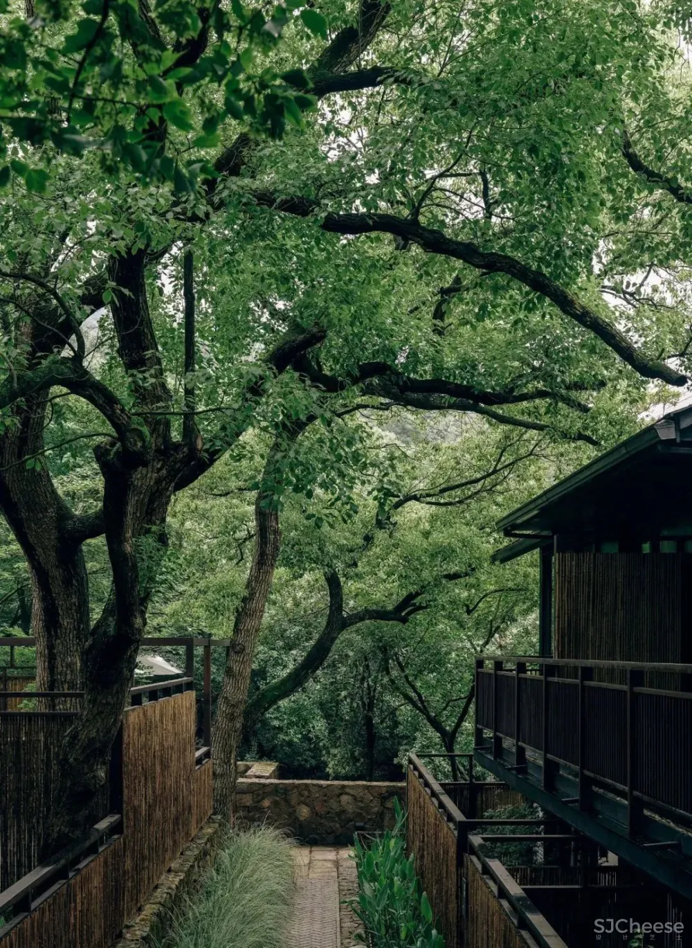 谢柯新作 杭州夕上·虎跑1934酒店—将山光树影嵌在岁月里