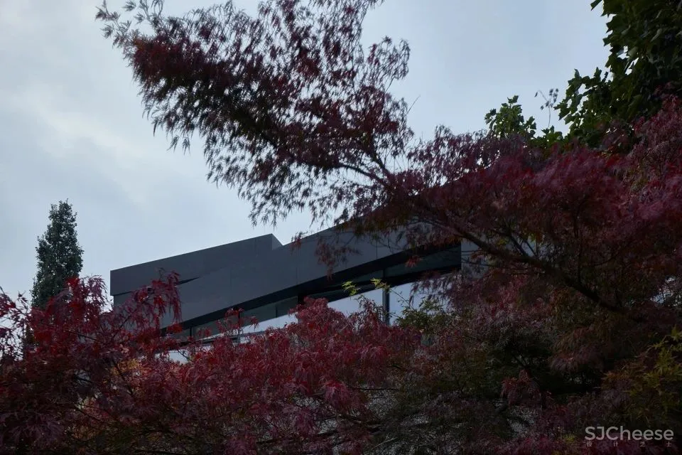 COLL COLL 一座不折不扣的功能性住宅 Sophia住宅