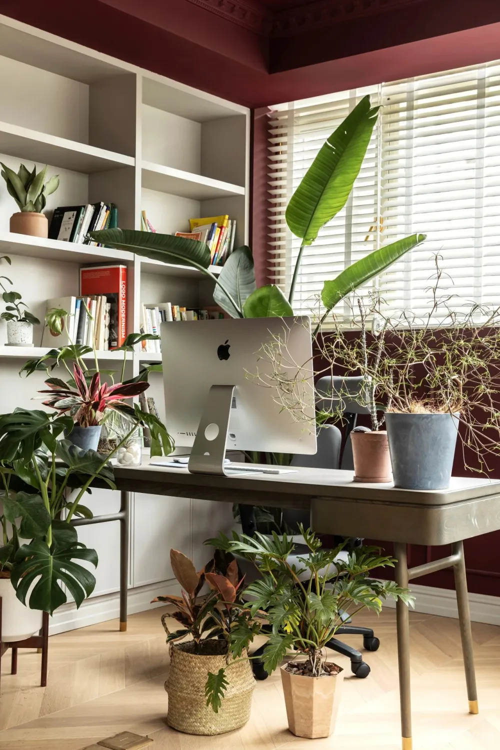 从事苗圃经营的姑娘,买下自带花园大别墅,把321m²搞成让人羡慕的植物园!