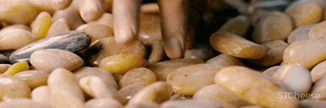 都说院子还是中国的美,这个项目再次示范中式院落如何复刻