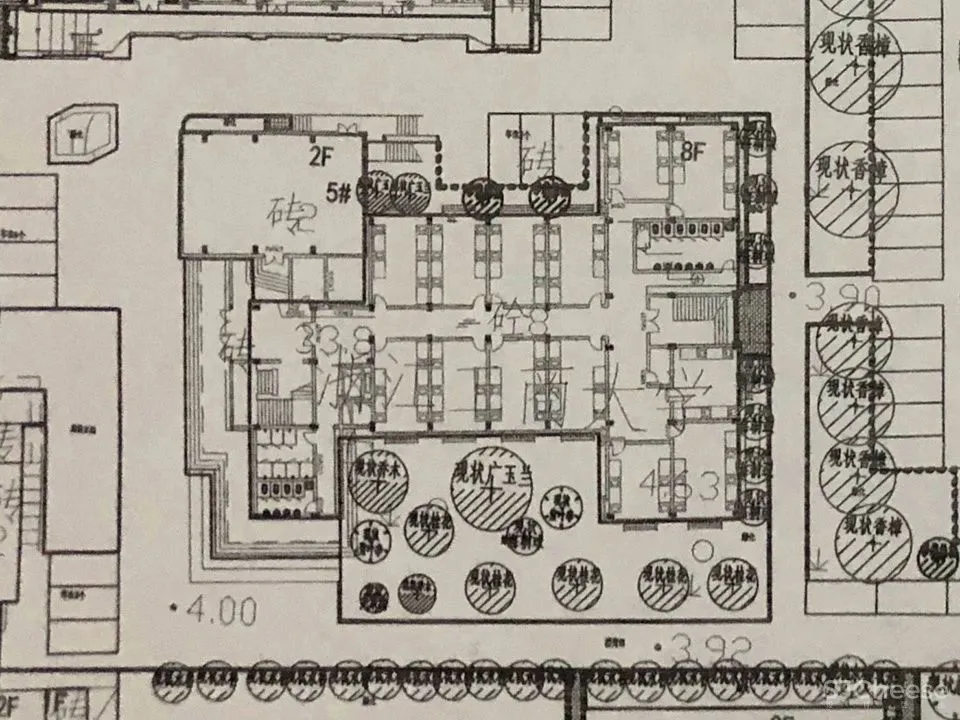 生长的黑盒子 办公空间改造设计