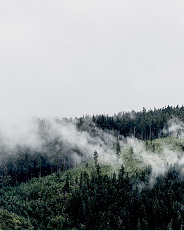 半山取静，融于自然的现代人诗意生活空间丨于强设计