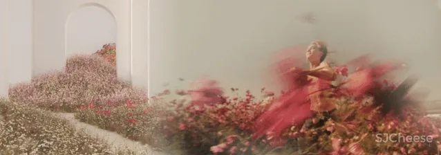 共生形态 星辰与蜉蝣