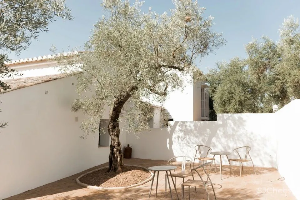 纯粹形式 橄榄林中的西班牙乡村酒店 GANA Arquitectura