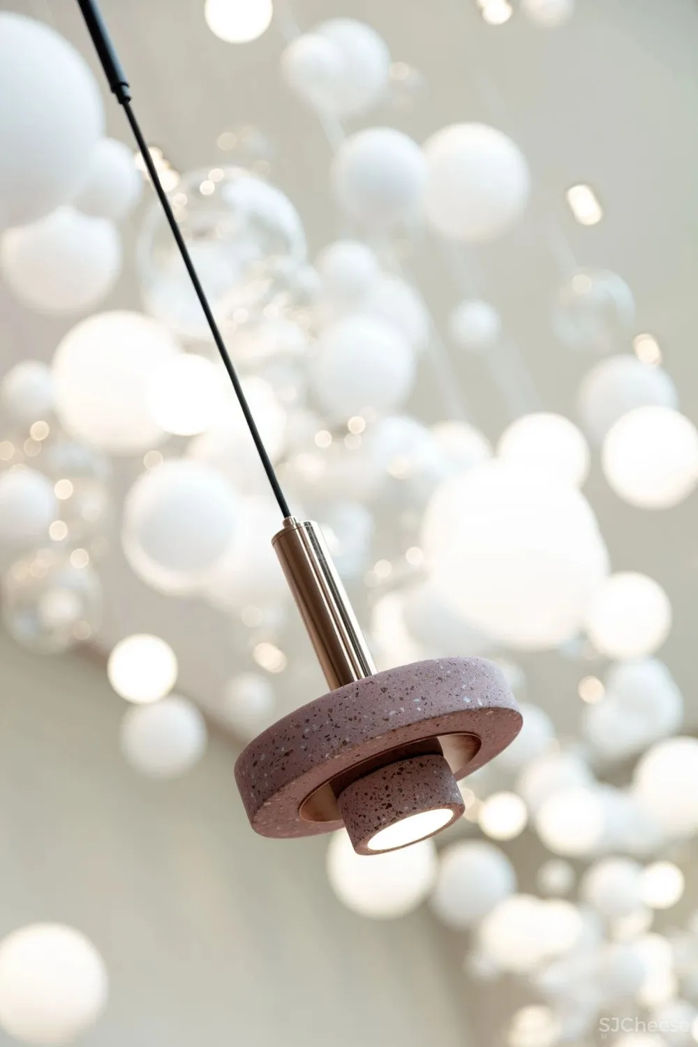 共生形态 星辰与蜉蝣