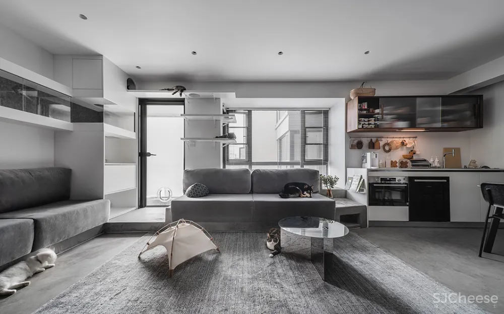 132㎡简洁设计，9猫、2狗、2人，这样的家太爱了！