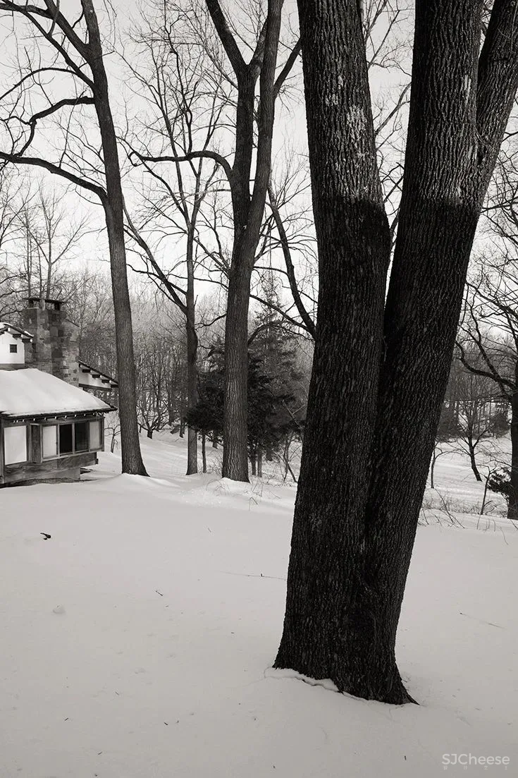 自然禅意,不是设计出来的!