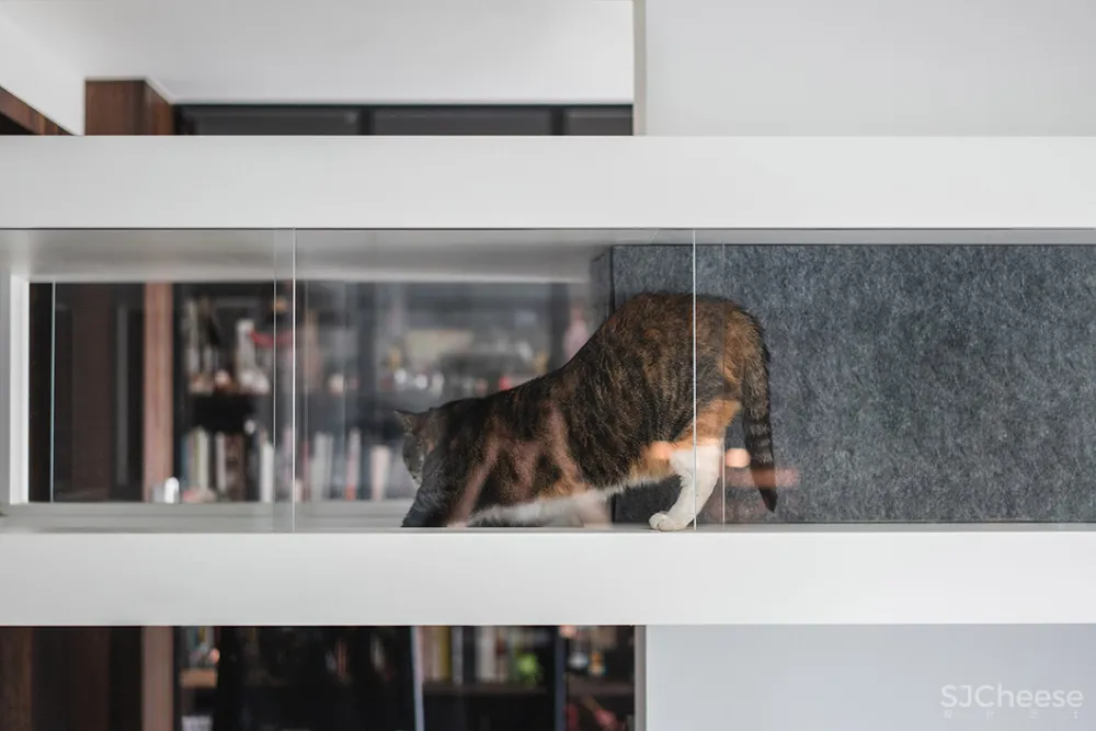 132㎡简洁设计，9猫、2狗、2人，这样的家太爱了！