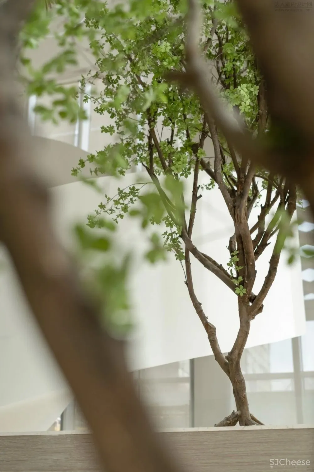 共生形态丨广州奥园 · 新塘售楼中心