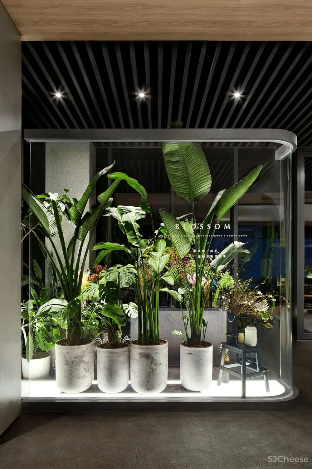 峻佳 杭州万科开了家超仙的雨林餐厅，成新晋网红地 ！