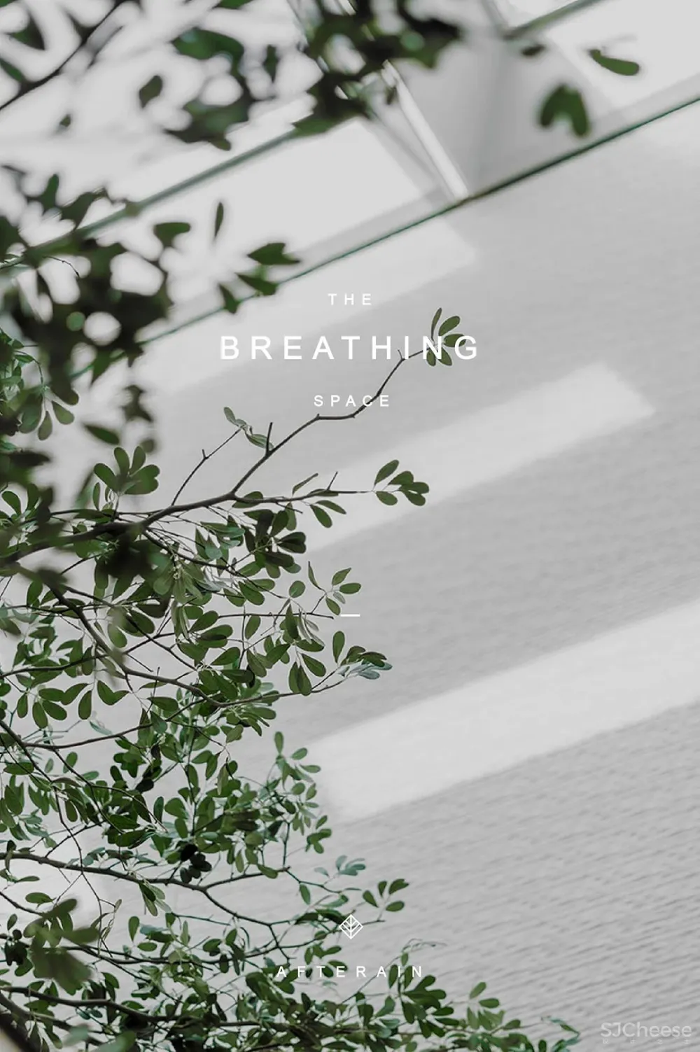 峻佳 杭州万科开了家超仙的雨林餐厅，成新晋网红地 ！