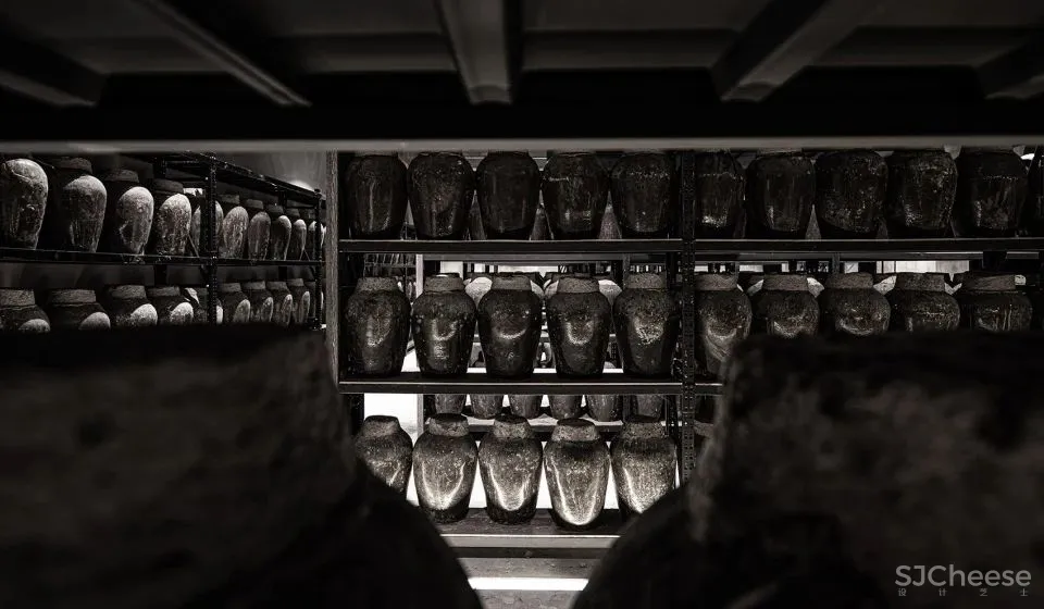 “光影”与“酒香”的交汇 石斛酒博物馆