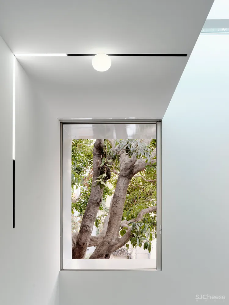 这栋180°全景「玻璃屋」,透明楼梯、网红滑梯,每件家具都是定制款!