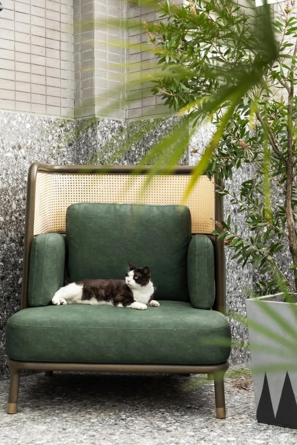 从事苗圃经营的姑娘,买下自带花园大别墅,把321m²搞成让人羡慕的植物园!