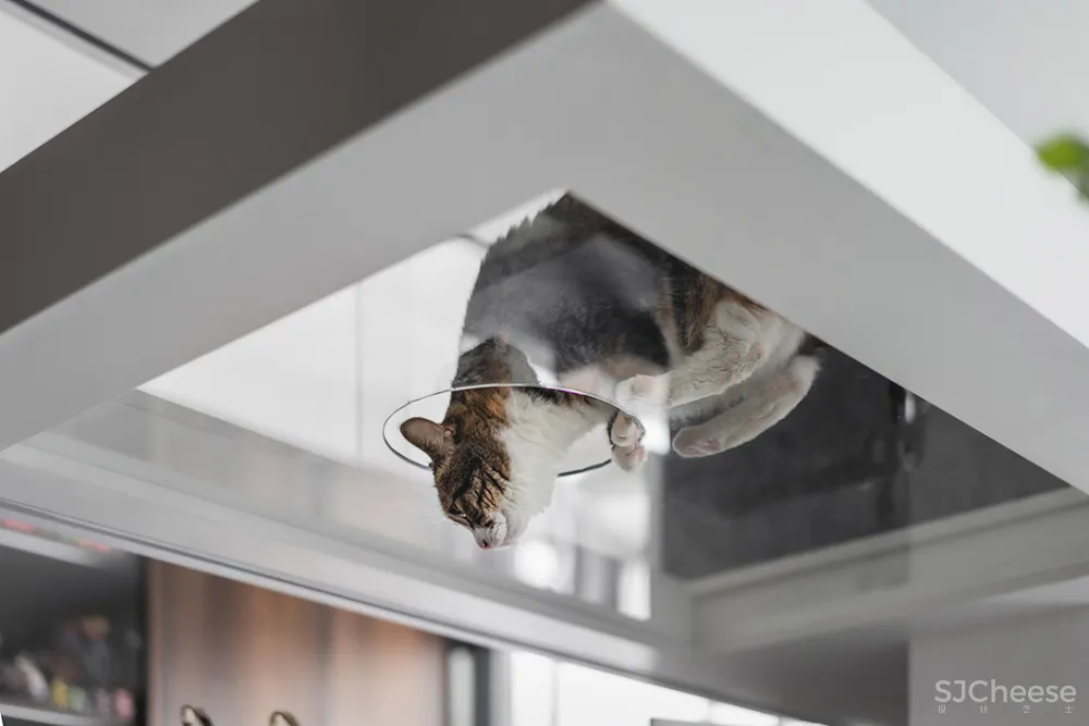 132㎡简洁设计，9猫、2狗、2人，这样的家太爱了！