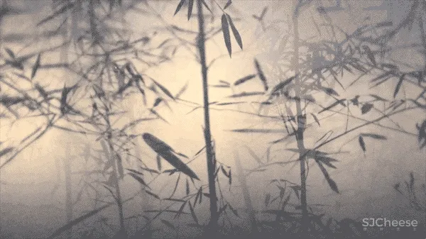 马岛八大作品盘点“我们自己的文化才是面向未来的”