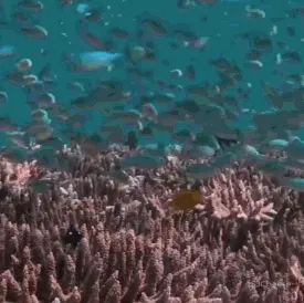 新作 海之遐想,从纯粹空间中倾听自然之美