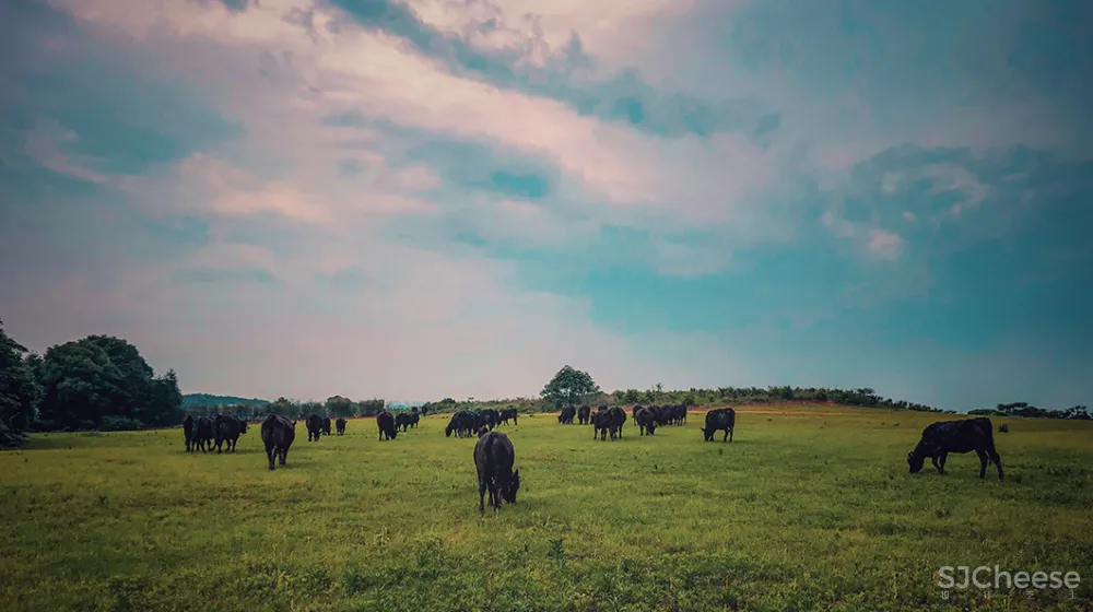 中式别院 一木一石、一砖一瓦,都是范儿!