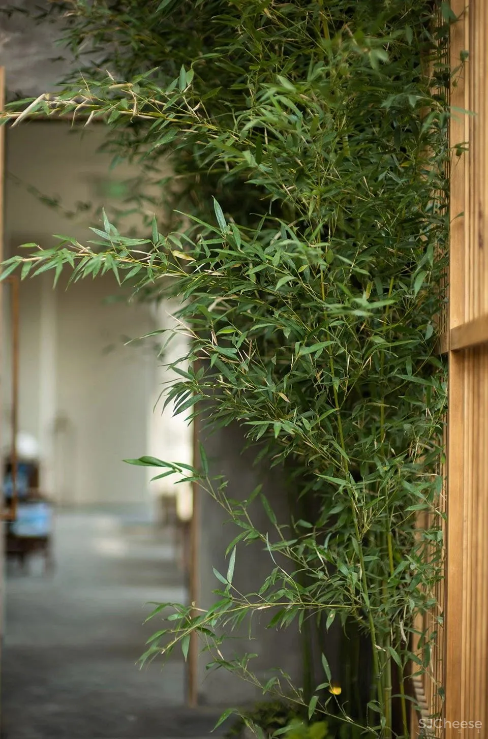 北京太古里 元古本店:自然恬静的净化心灵之地 元古集团无之设计