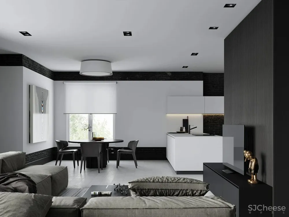 黑白色系的客厅，气质凸显 !