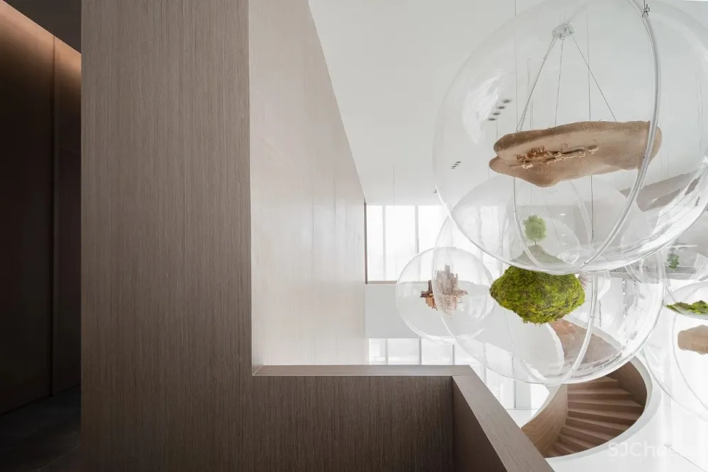 共生形态 星辰与蜉蝣