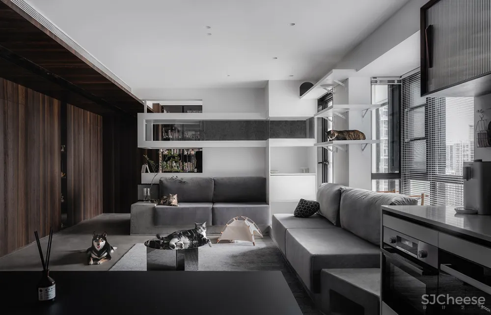 132㎡简洁设计，9猫、2狗、2人，这样的家太爱了！